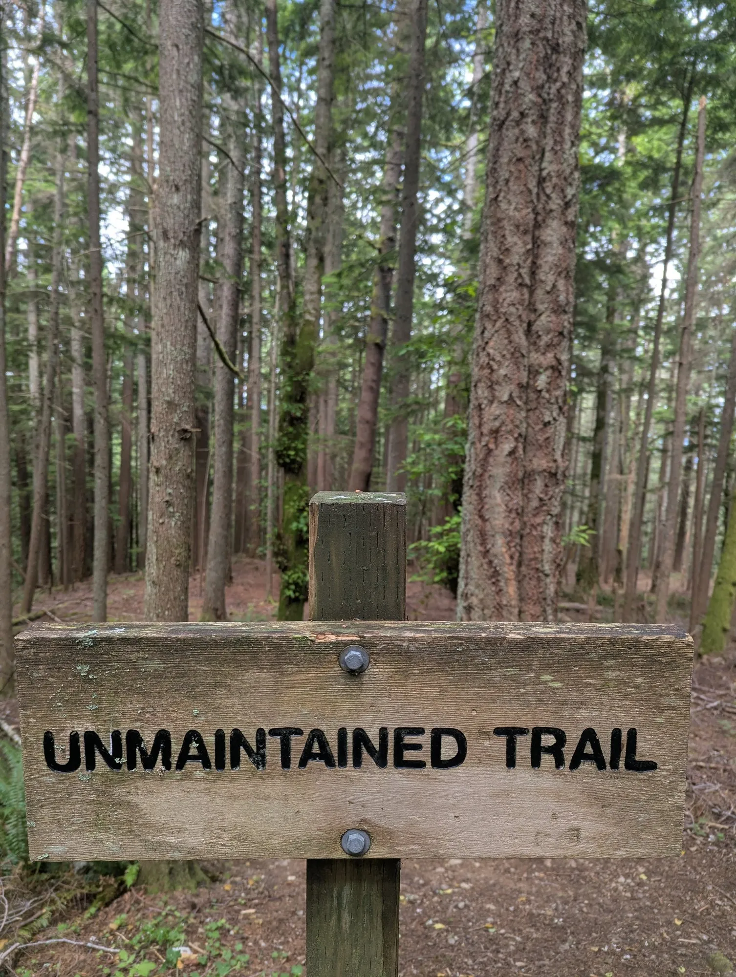 Wooden sign reading “UNMAINTAINED TRAIL” beside a narrow path through tall trees