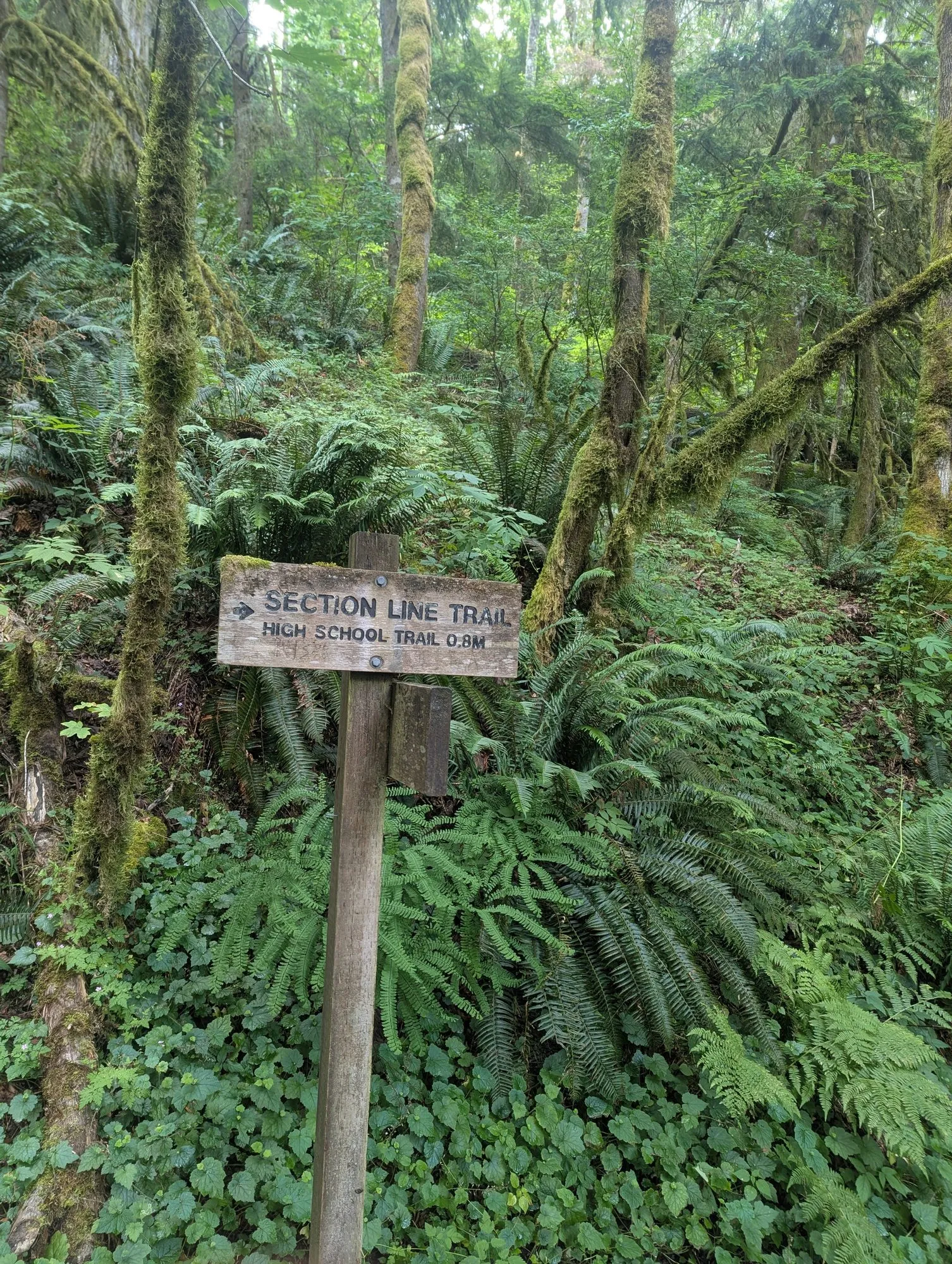 Section Line Trail sign pointing toward High School Trail, 0.8 miles