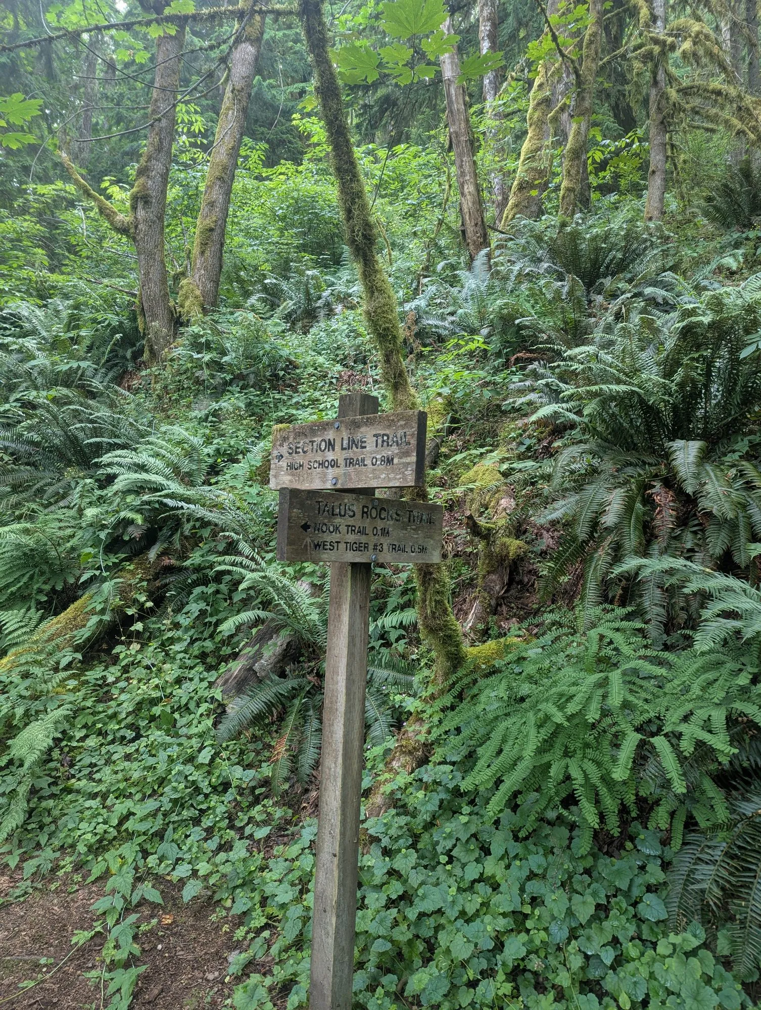 Stacked junction signs for the Section Line Trail and Talus Rocks Trail