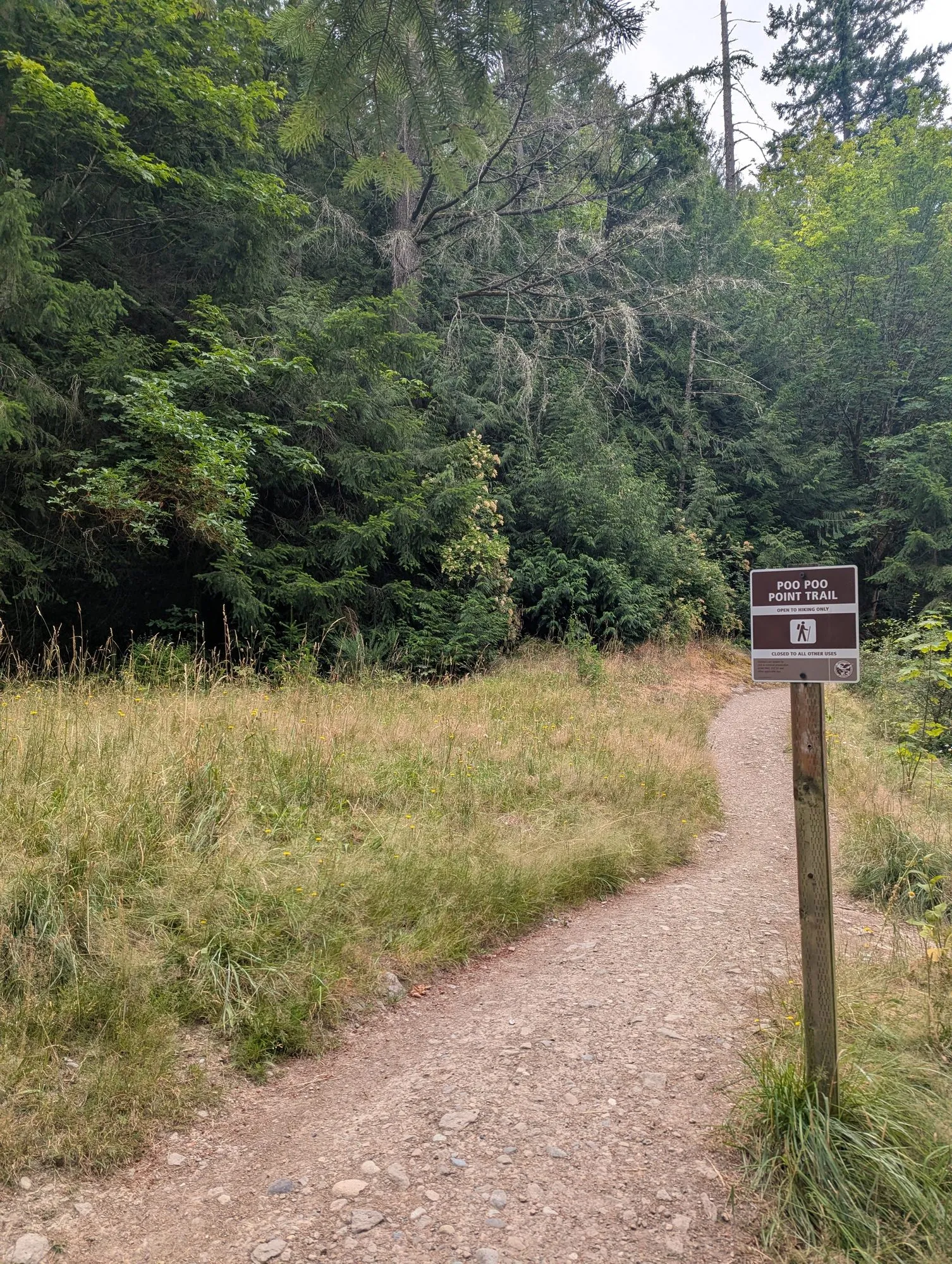 Brown Poo Poo Point Trail sign beside a gravel path through a dry grass meadow