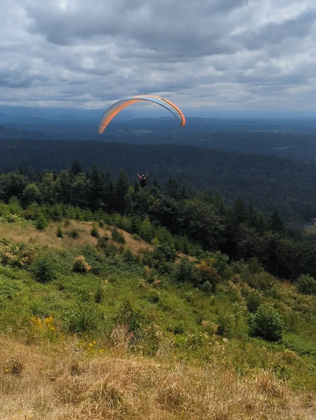 A paraglider in flight above a forested ridge, seen from a grassy hillside, with the pilot visible beneath the orange and blue wing